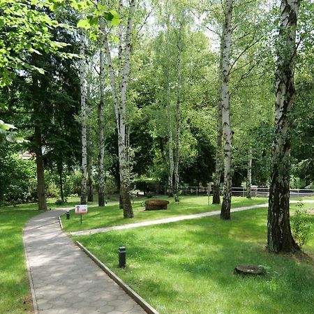 Penzion Harmony Javornik Ctyrkoly Dış mekan fotoğraf