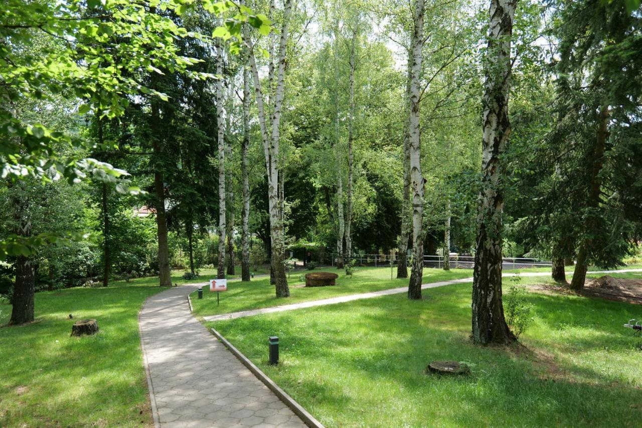 Penzion Harmony Javornik Ctyrkoly Dış mekan fotoğraf